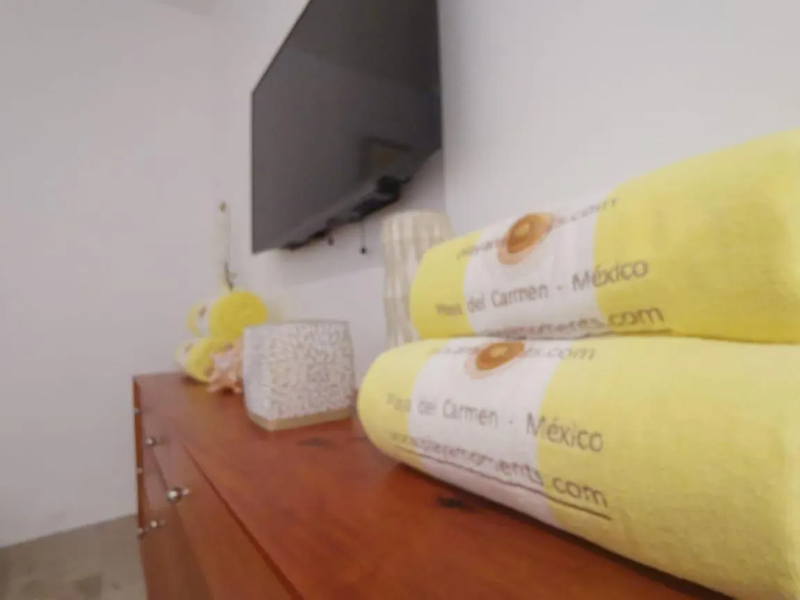 Ocd12 Unique 1 Bedroom Playa del Carmen Apartment